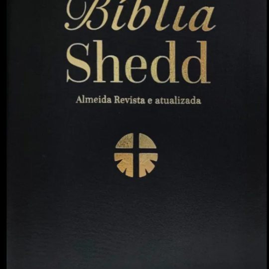 RA065BS:PT:BIB SHEDD CP FLEX PRETA