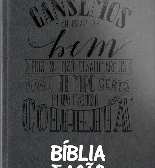 Bíblia Em Ação De Estudo Capa - Luxo Cinza