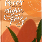 BIBLIA ILUSTRADA ANOTE MINHA PAZ NVT