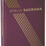 Bíblia Sagrada Linhas Douradas | NAA | Letra Normal | Capa Dura